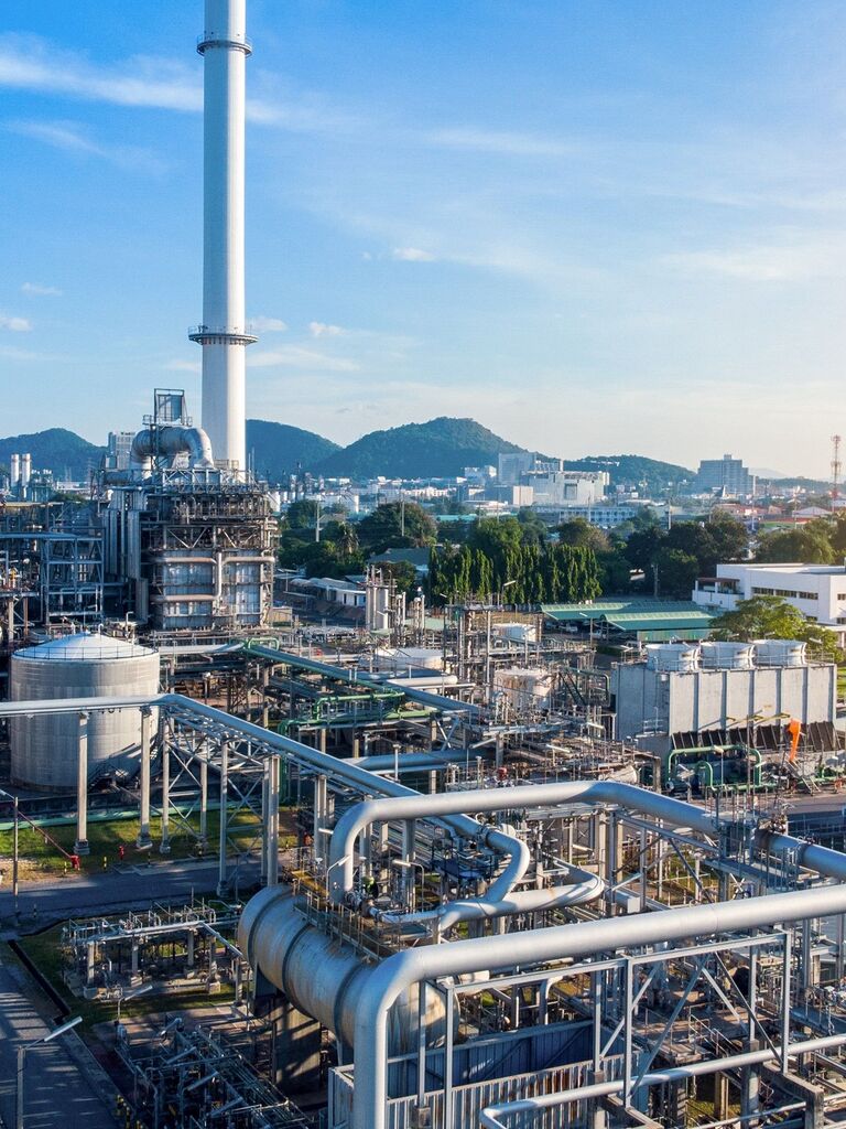 A picture of a downstream plant