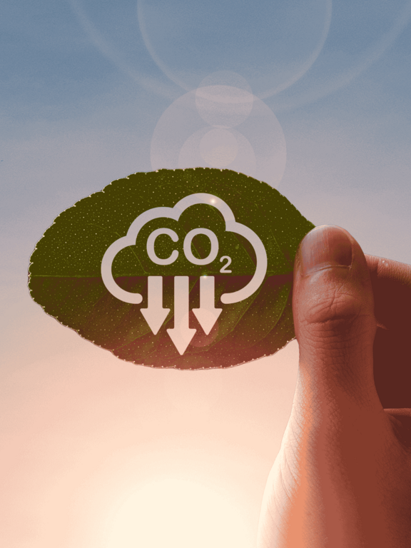 Embracing the Future: A Comprehensive Approach to Decarbonisation and Energy Transition