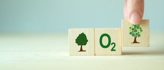 Impact of Green Hydrogen Production and Oxygen Sales on LCOH