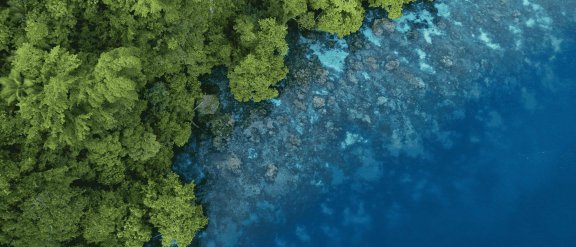 Moving Beyond Climate: Embracing Nature-Focused Operations