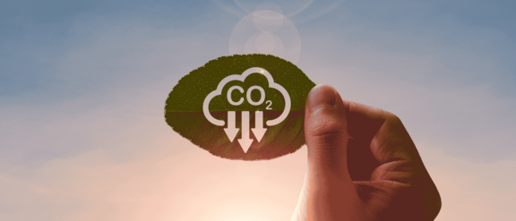 Embracing the Future: A Comprehensive Approach to Decarbonisation and Energy Transition