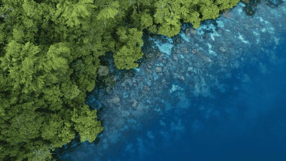 Moving Beyond Climate: Embracing Nature-Focused Operations