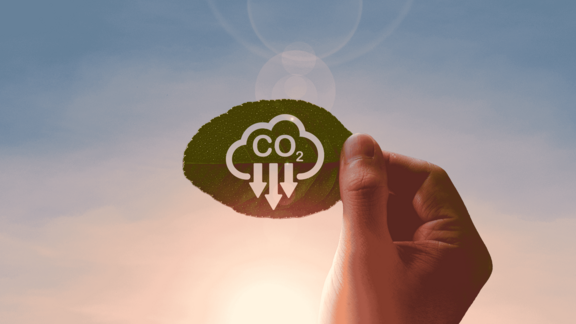 Embracing the Future: A Comprehensive Approach to Decarbonisation and Energy Transition